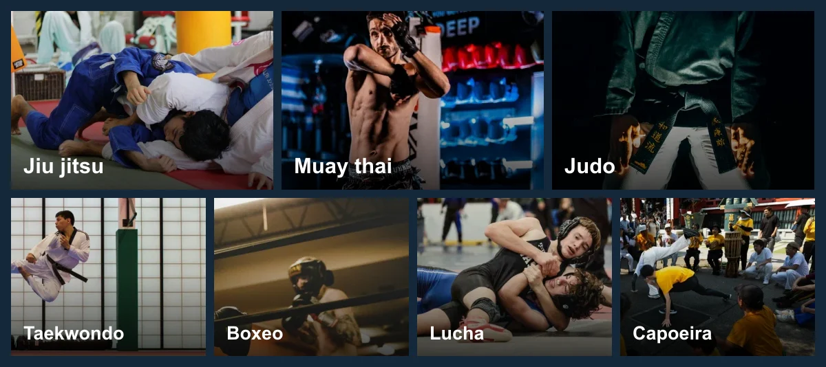 Collage de artes marciales: jiu jitsu, muay thai, judo, taekwondo, boxeo, lucha y capoeira
