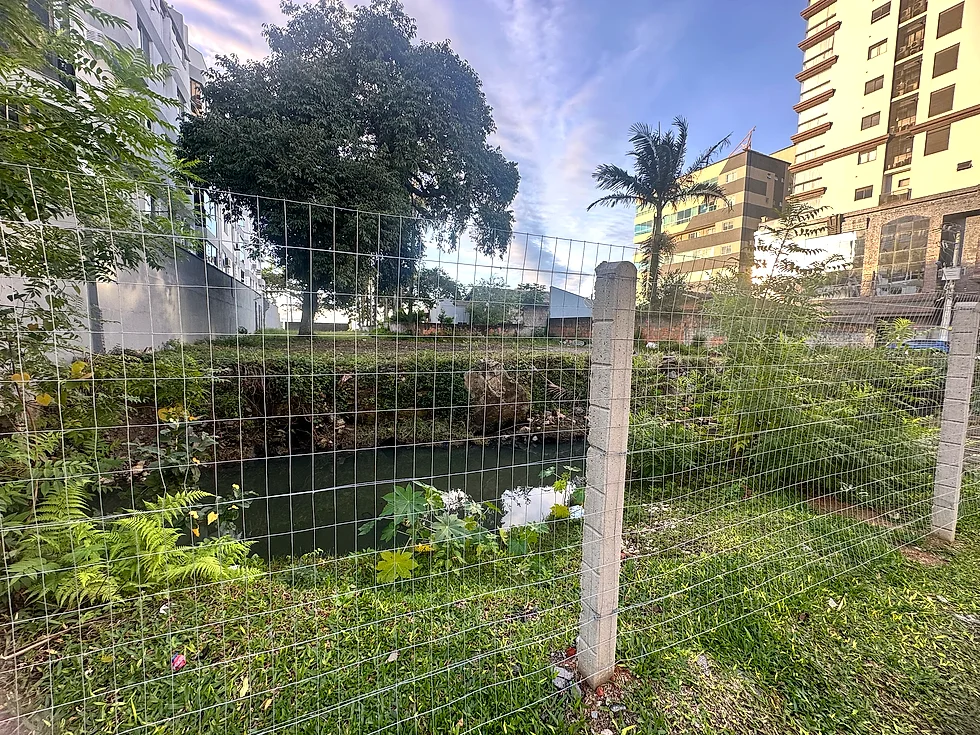 Área verde en Canto da Praia relacionada con las capibaras