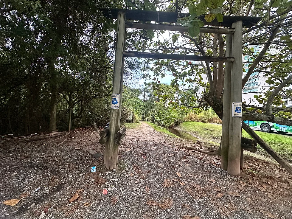 Zona protegida de capibaras en Itapema