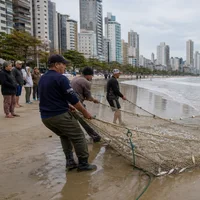 Pesca artesanal de tainha en una playa urbana de Itapema
